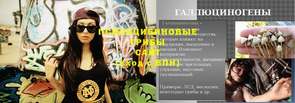 а пвп мука Надым