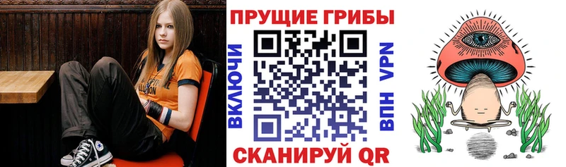 даркнет сайт  Чаплыгин  Псилоцибиновые грибы GOLDEN TEACHER 